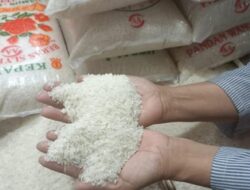 Harga Beras Medium Naik 12.500 Per Kg, Ini Alasan dan Dampaknya Bagi Masyarakat