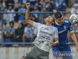 Pratinjau Bali United vs Persib Bandung: duel dua pelatih pragmatis