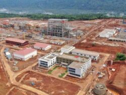 PLN pasok energi hijau untuk sejumlah perusahaan smelter di Sultra