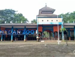 Wali Kota Medan targetkan investasi Medan Zoo mulai Juni