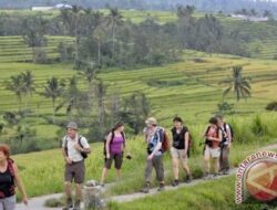 Berbagi praktik baik rekayasa air dalam ajang World Water Forum Bali