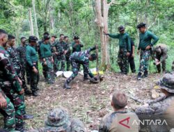 TNI AL dan prajurit AS latihan bertahan hidup di hutan Lampung