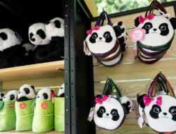 Panda raksasa dari China akan datang ke kebun binatang AS akhir tahun