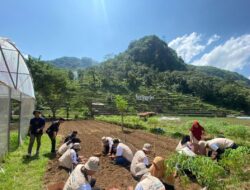 PPA-JIEP dukung pengembangan desa pertanian dan wisata Sriharjo di DIY