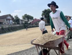 Starbucks Indonesia jaga industri kopi lokal lewat pemberian bibit