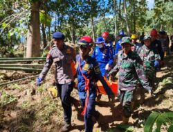 Satgas Gulben TNI AL bantu cari dan evakuasi korban bencana di Luwu