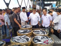 KKP upayakan solusi jangka pendek tangani ikan berlimpah di Aceh