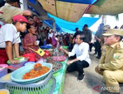 Presiden Jokowi cek ketersediaan bahan pokok di pasar Lacarai Kolut