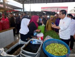 Presiden tinjau harga bahan pokok di Pasar Bukit Sulap Lubuklinggau