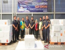 Bea Cukai Banjarmasin bantu UMKM ekspor perdana 500 arwana ke China