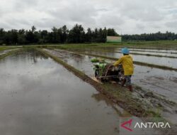 Kementan siapkan pompanisasi untuk daerah kering hadapi musim kemarau