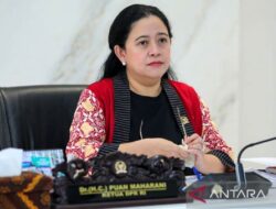 DPR sebut 36 delegasi parlemen dunia siap hadiri WWF di Bali