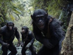 “Kingdom of the Planet of the Apes” raup pendapatan 237 juta dolar AS