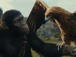 Simak lima fakta menarik film “Kingdom of the Planet of the Apes”