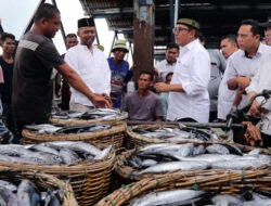 Serap hasil tangkapan nelayan Aceh, KKP bangun pabrik olahan ikan