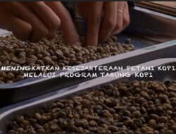 Meningkatkan kesejahteraan petani kopi melalui program tabung kopi