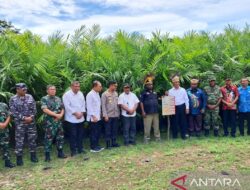 Mentan tinjau pengembangan kelapa sawit di Kabupaten Manokwari