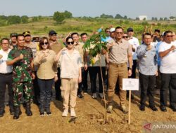 Peringati Hari Lingkungan, Kementerian ATR/BPN tanam 100 ribu pohon