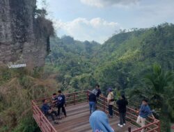 Menikmati Kulon Progo dari Puncak Widosari dan kebun teh Tritis