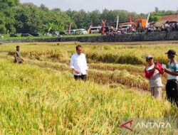 Presiden tinjau pompanisasi di Desa Krendowahono Karanganyar 