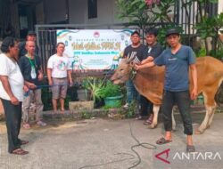 Seknas Indonesia Maju: Idul Adha momentum kebersamaan hadapi pilkada