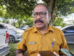 Pemprov Papua: Peternak wajib lapor babi yang mati seiring wabah ASF