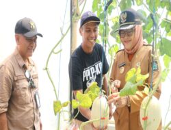 Diskop-UKM Kulon Progo kurasi produk pertanian supaya naik kelas