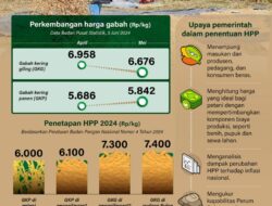 Penetapan HPP gabah