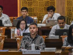 Komisi III dan X DPR setujui proses naturalisasi Verdonk dan Raven