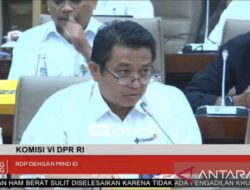 PT Timah setor PNBP sebesar Rp888 miliar pada 2023