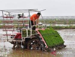 China terus kembangkan pertanian pintar yang ramah lingkungan