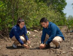 Kelompok tani hutan dan PTBA tanam mangrove kurangi emisi karbon