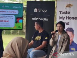 Tokopedia siapkan berbagai program untuk dukung UMKM lokal