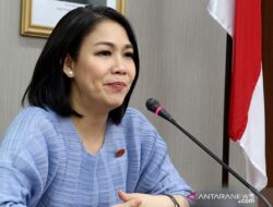 Dini Purwono: Permintaan SYL untuk Jokowi jadi saksi tidak relevan