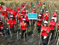 Yayasan WINGS Peduli tanam ratusan pohon mangrove