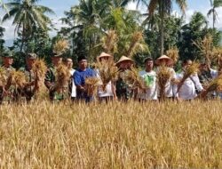 Hari Krida Pertanian, wujud apresiasi terhadap para petani