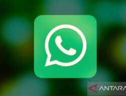 WhatsApp uji fitur peringkat pembaruan status