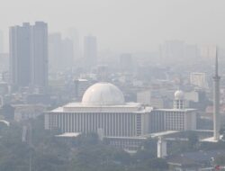 IDAI soroti dampak buruk polusi udara terhadap tumbuh kembang anak